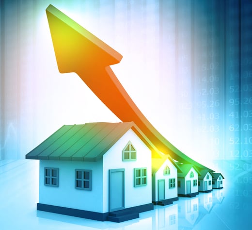 middle-img-02-May-17-2024-07-00-07-9693-PM